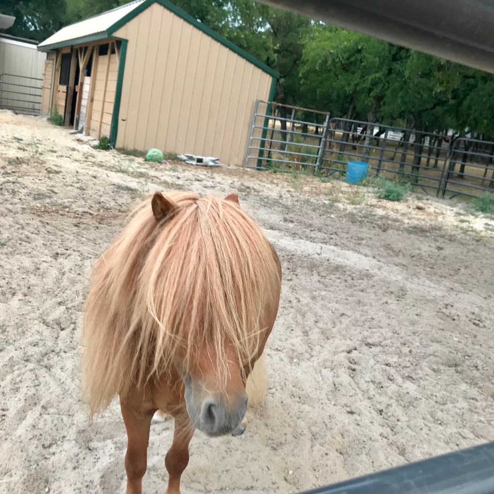 Meet your Posher, Raqui